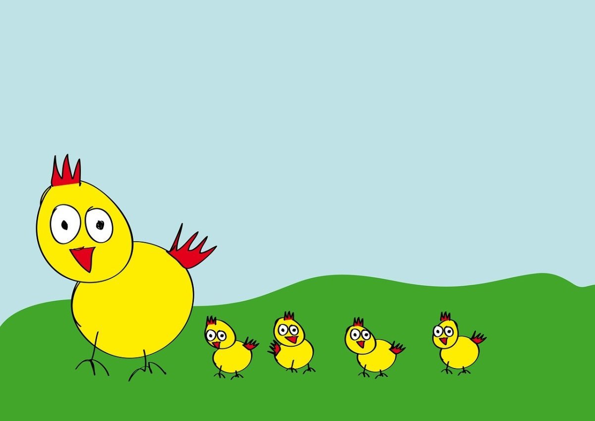 Фон цыплята