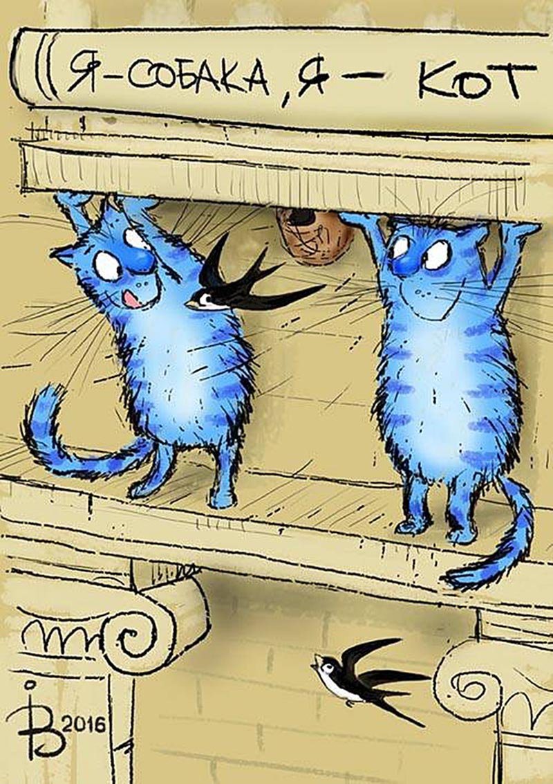 Синие коты и пятница
