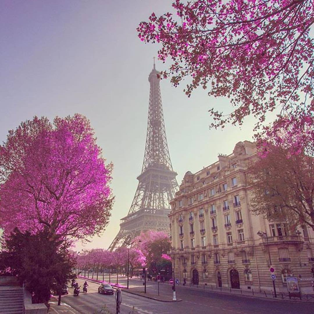 Красивая брюнетка Париж