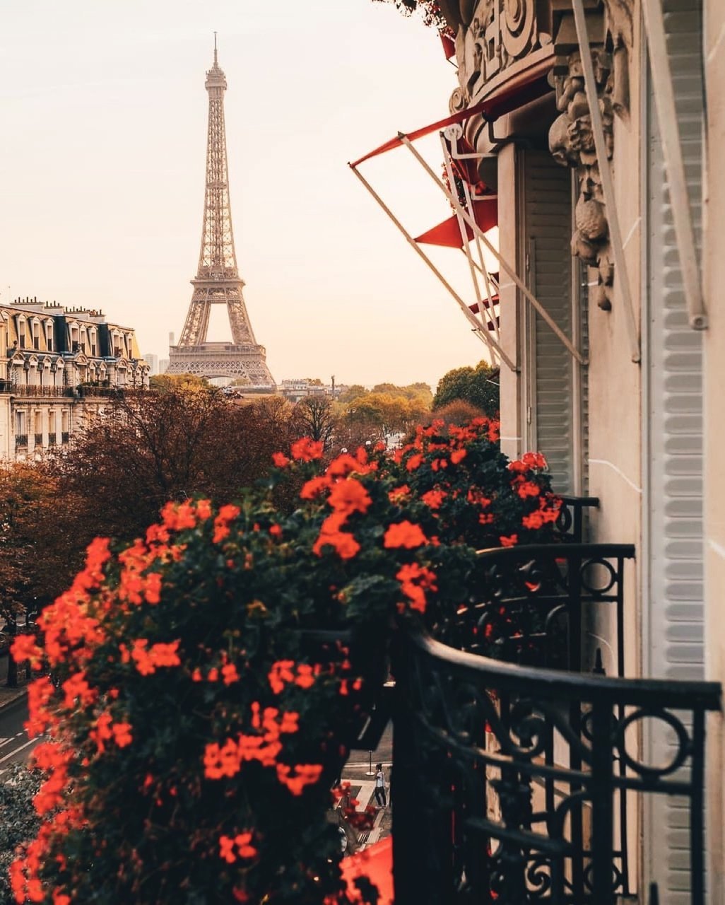 Экскурсия по Франции