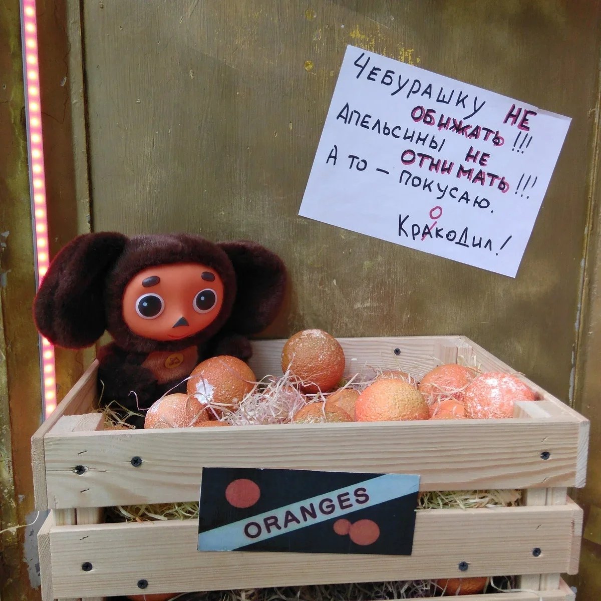 Чебурашка в Нижнем Новгороде