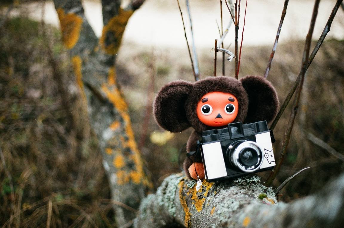 Крокодил Гена Чебурашка город