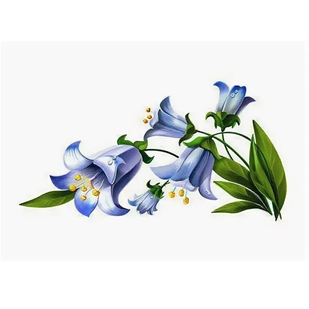 Колокольчик мультяшный