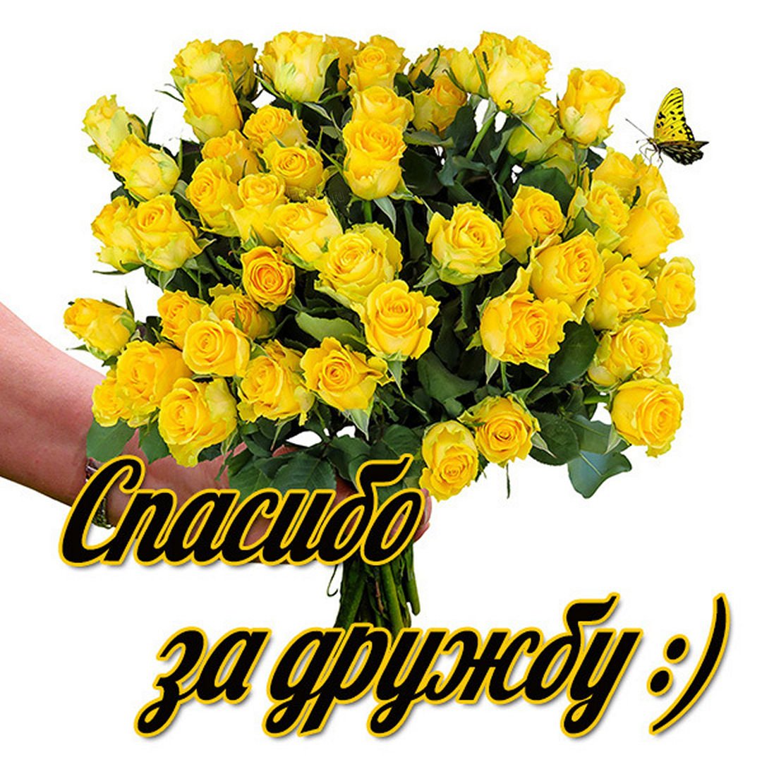 Сердце и деньги