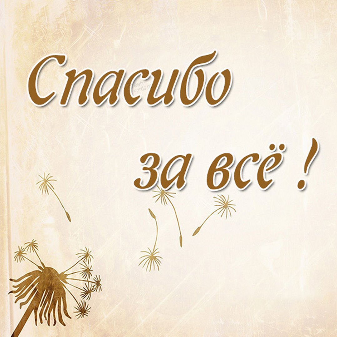 Приколы про зарплату