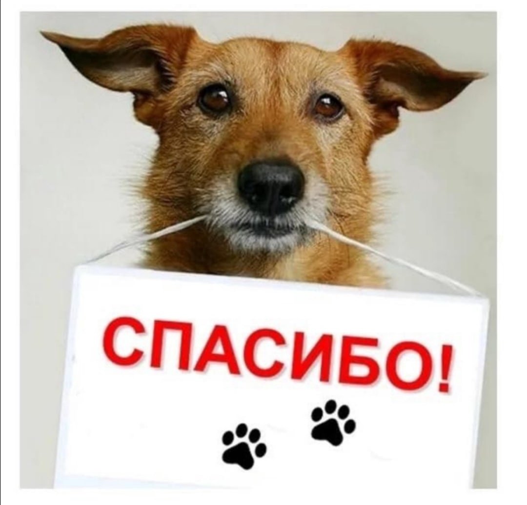 Отчет по сбору средств