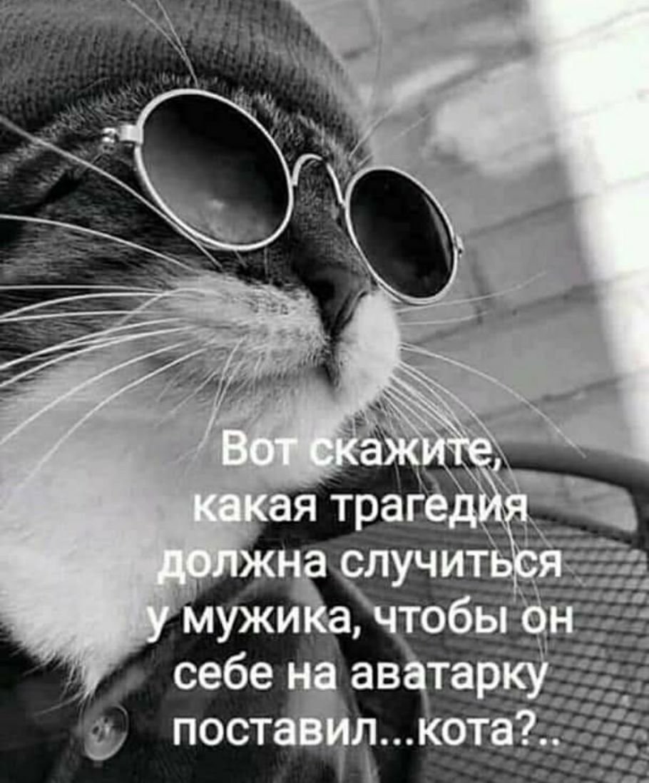 Картинки на аву с надписями