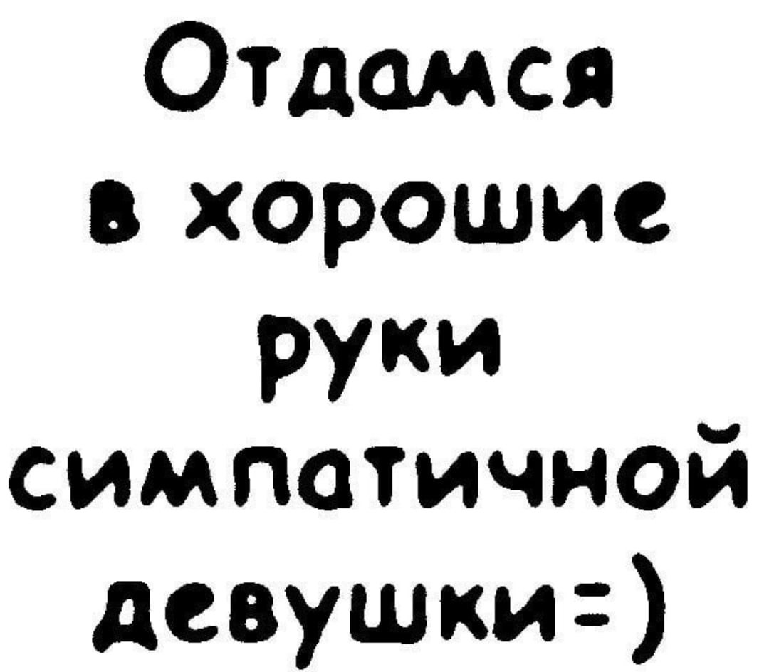Ищу девушку прикол