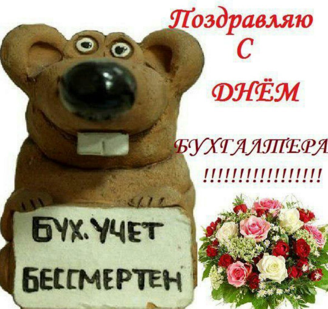 Нарукавники для бухгалтера