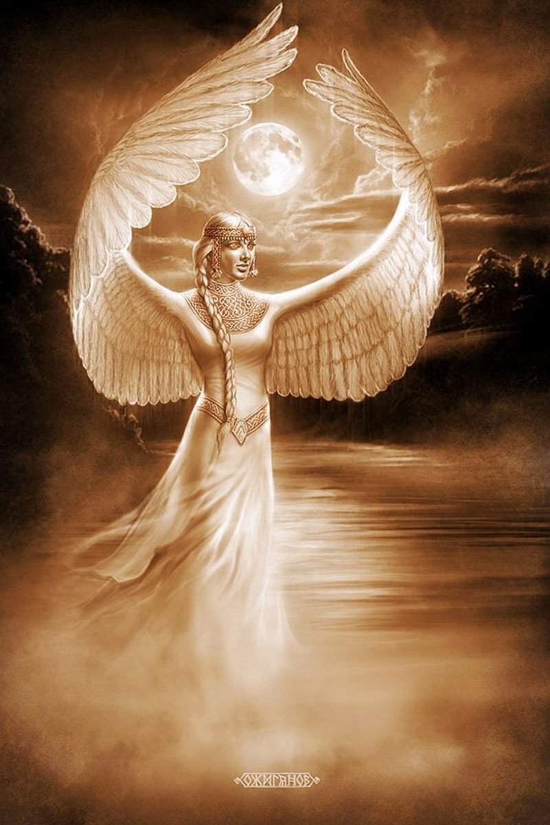 Светлана Беловодова художница