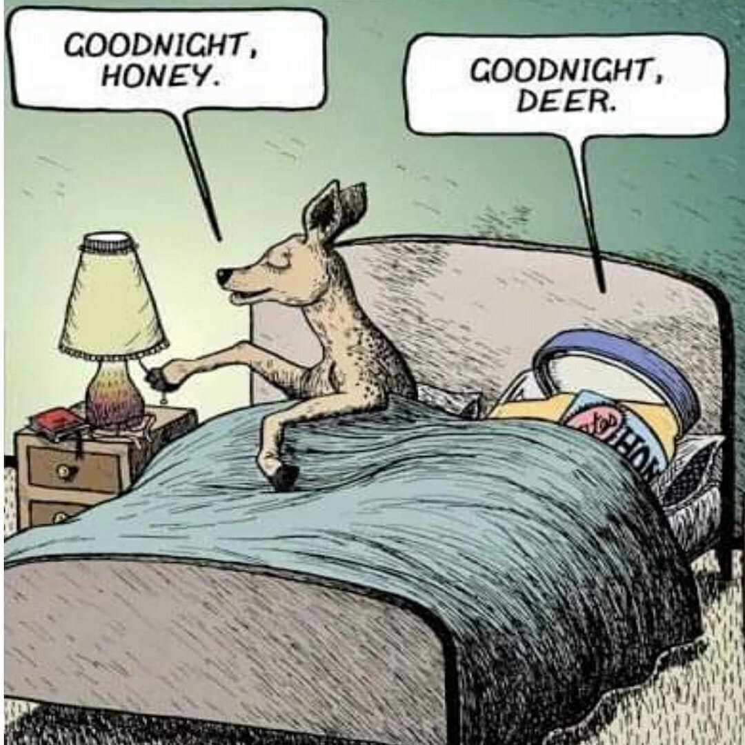 Шутки на английском