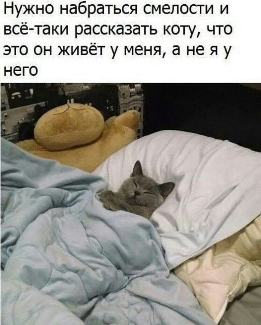 Юмор про сон
