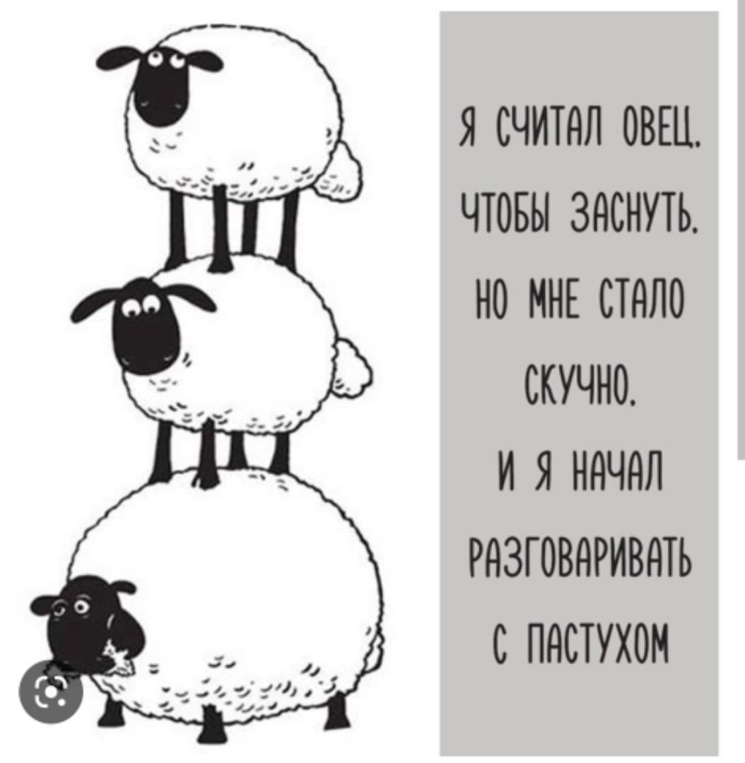Спокойной ночи прикол смешной