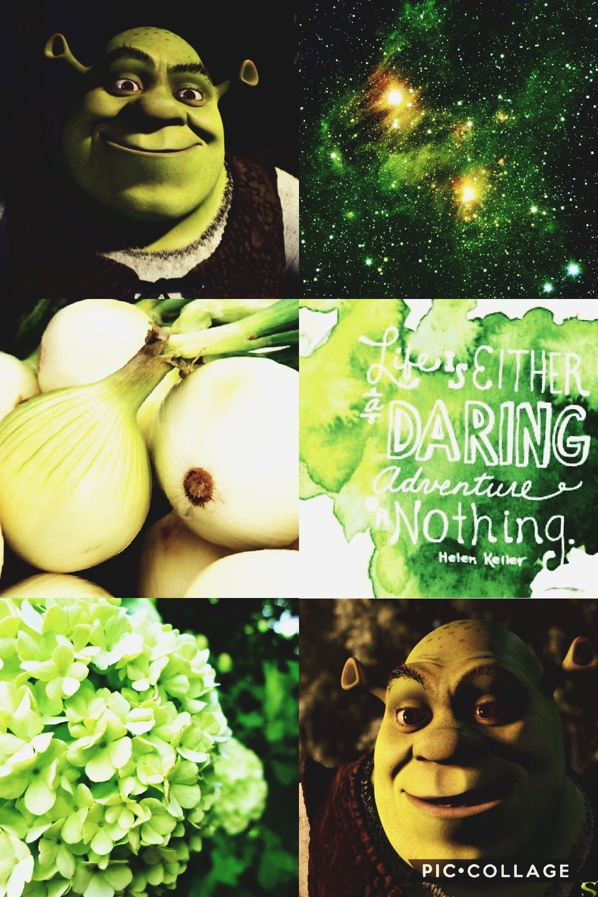 Шрек Эстетика