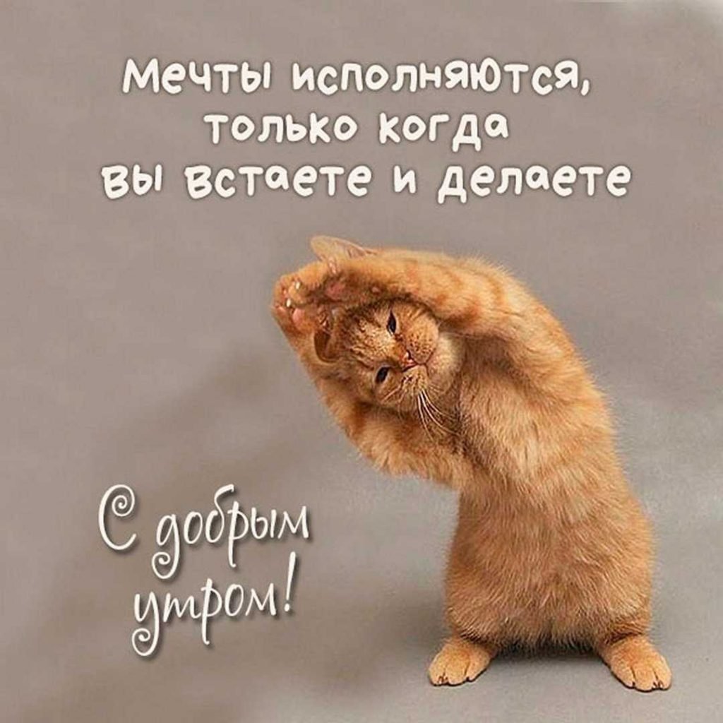 Радоваться нужно просто что живёшь даже если ветер даже если дождь