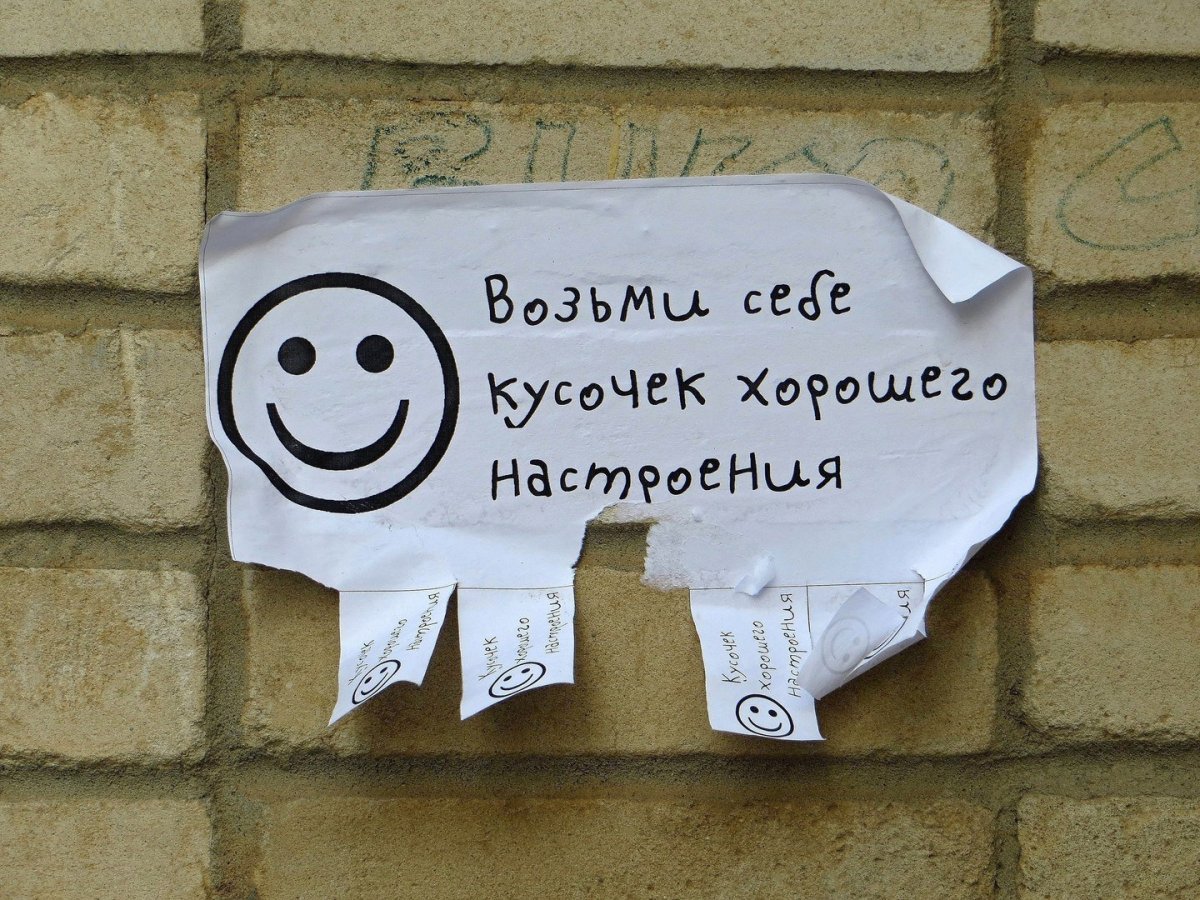 Художница Виктория Кирдий