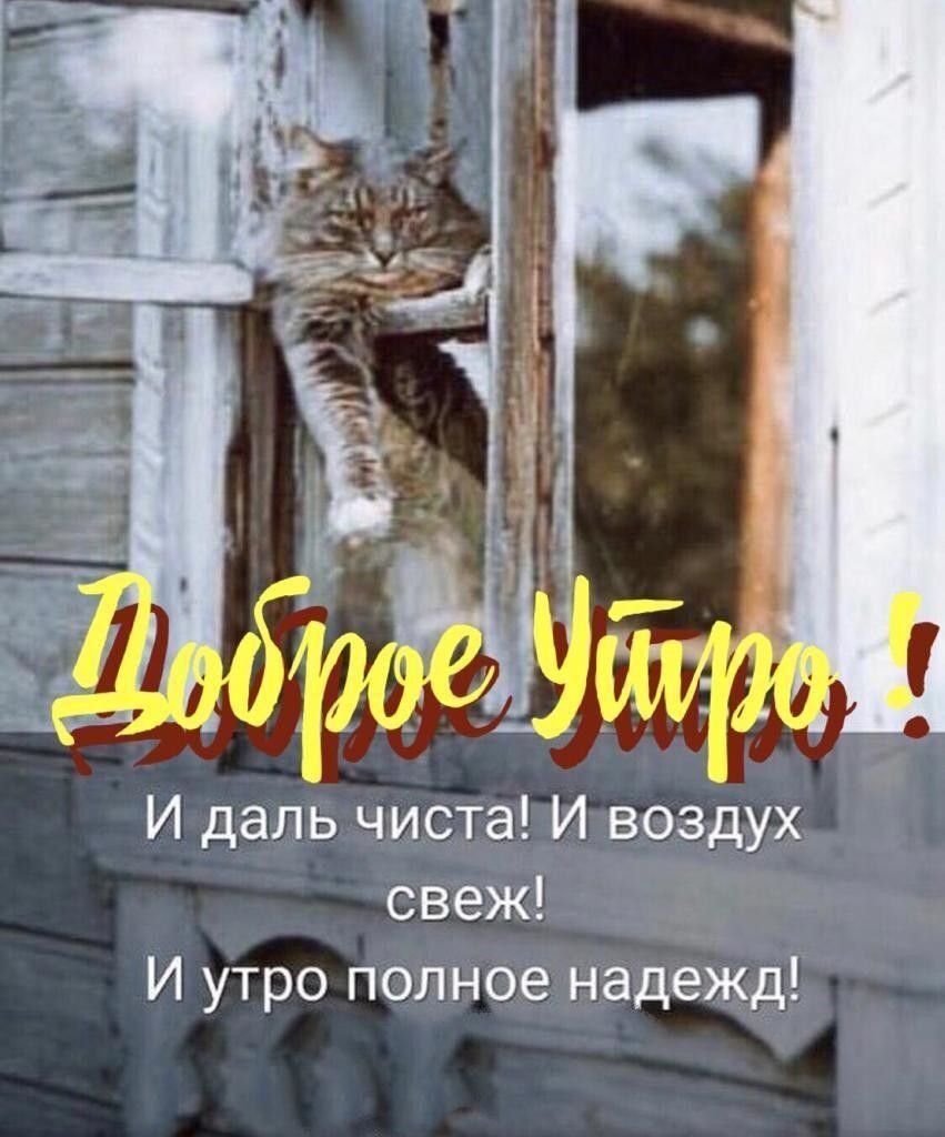 Доброе утро цитаты