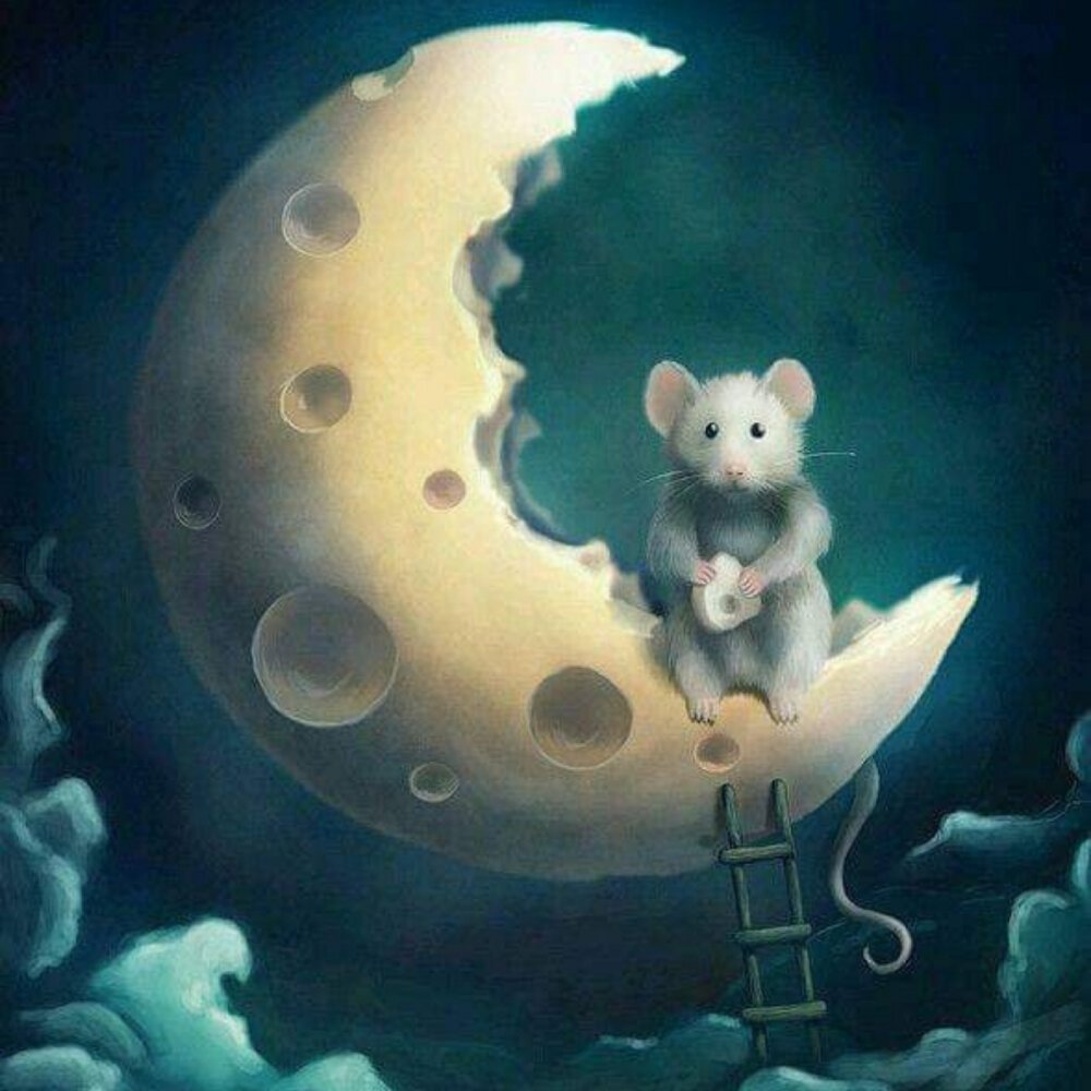 Фэнтези кошки