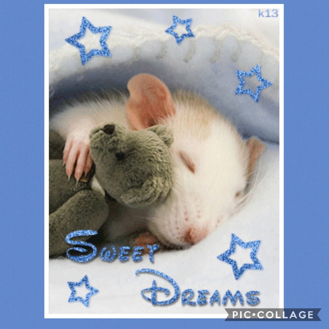 Спокойной ночи мышка