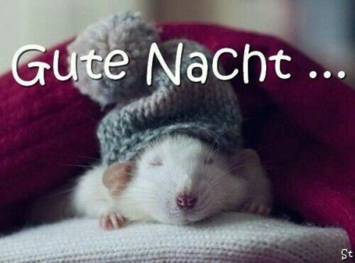 Пожелания сладких снов