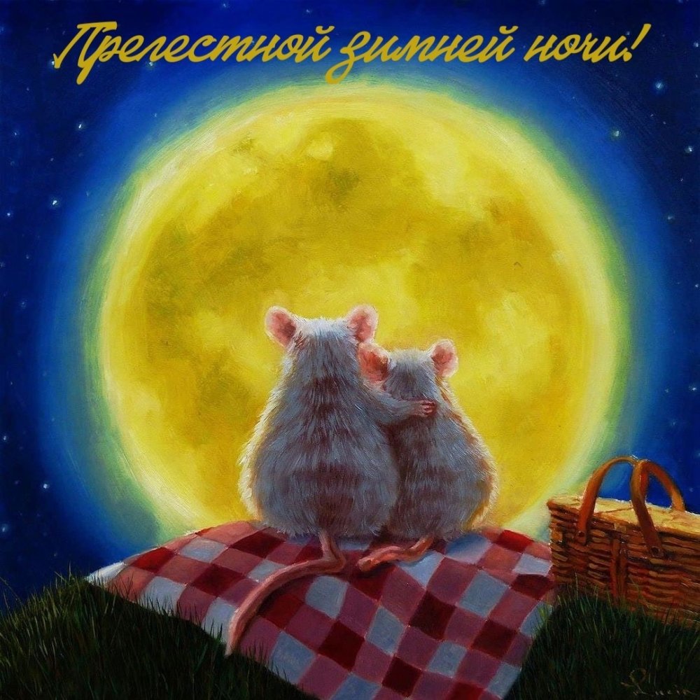 Спокойно нот сладских снов