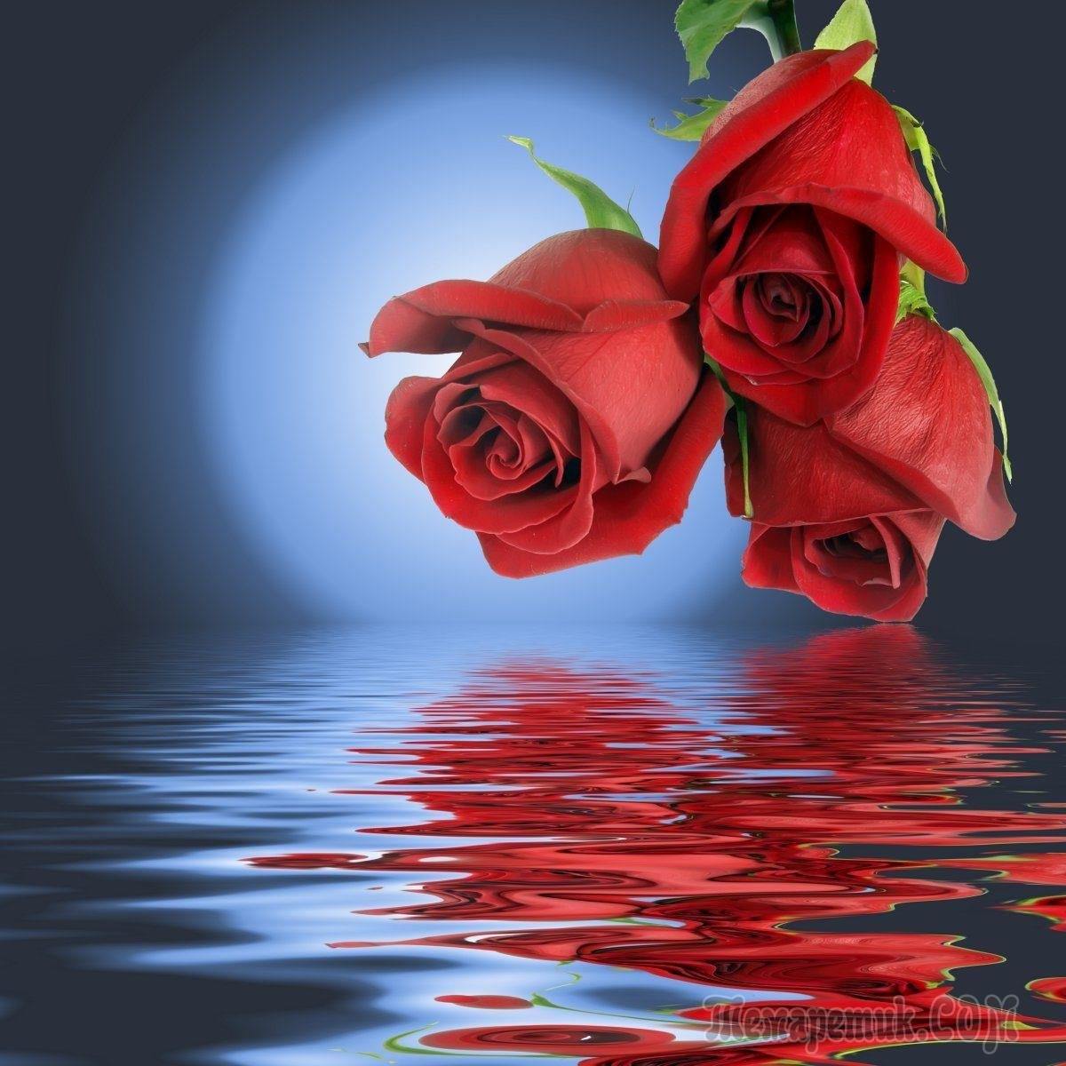 Христианские пожелания доброго вечера