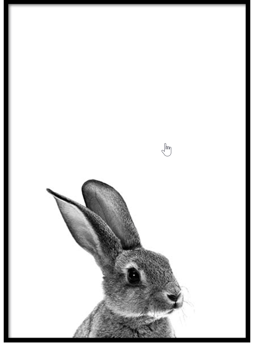 Постер заяц