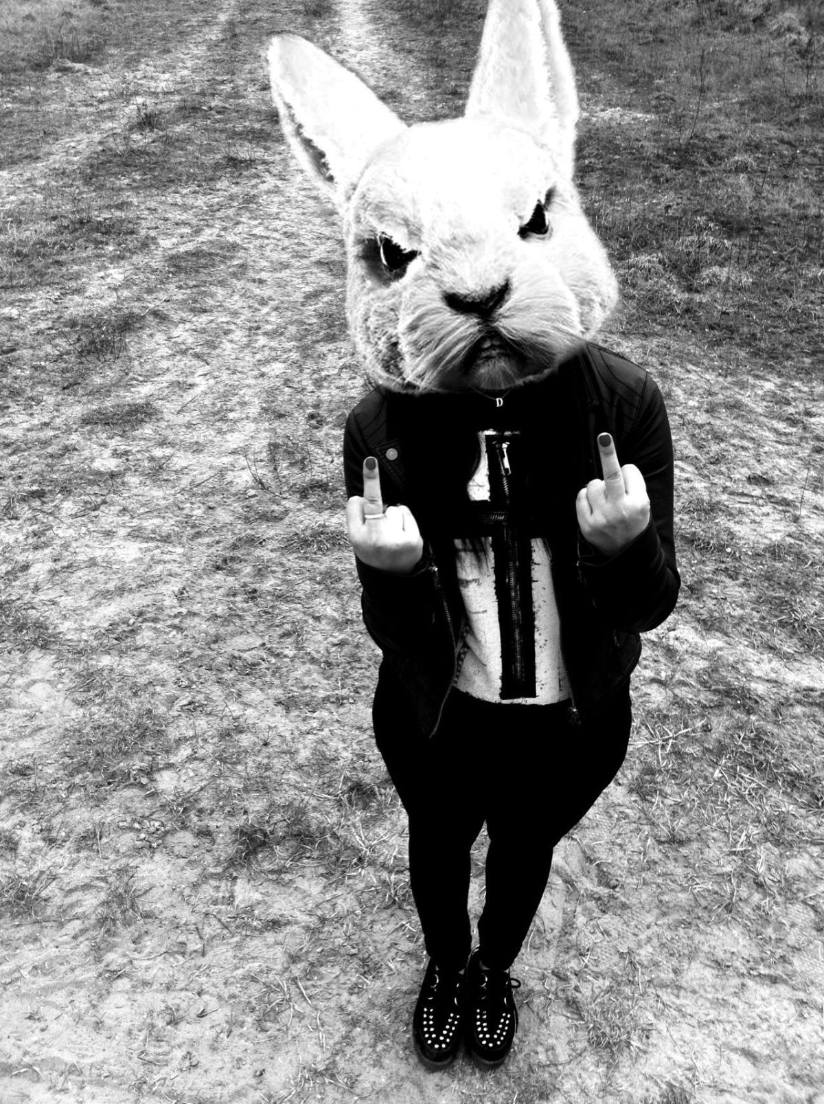 Крутой кролик