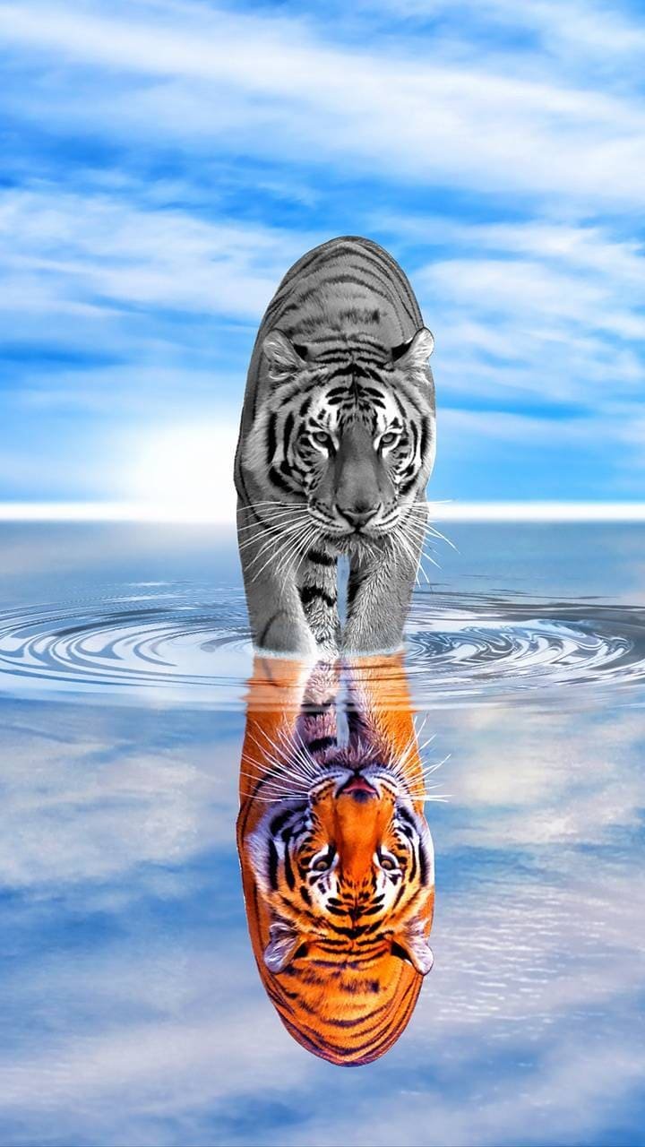 Мотоциклист в черном костюме