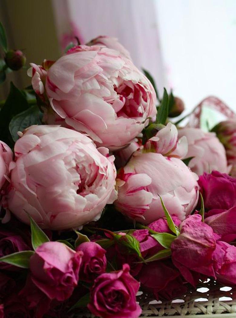 Букет пионов
