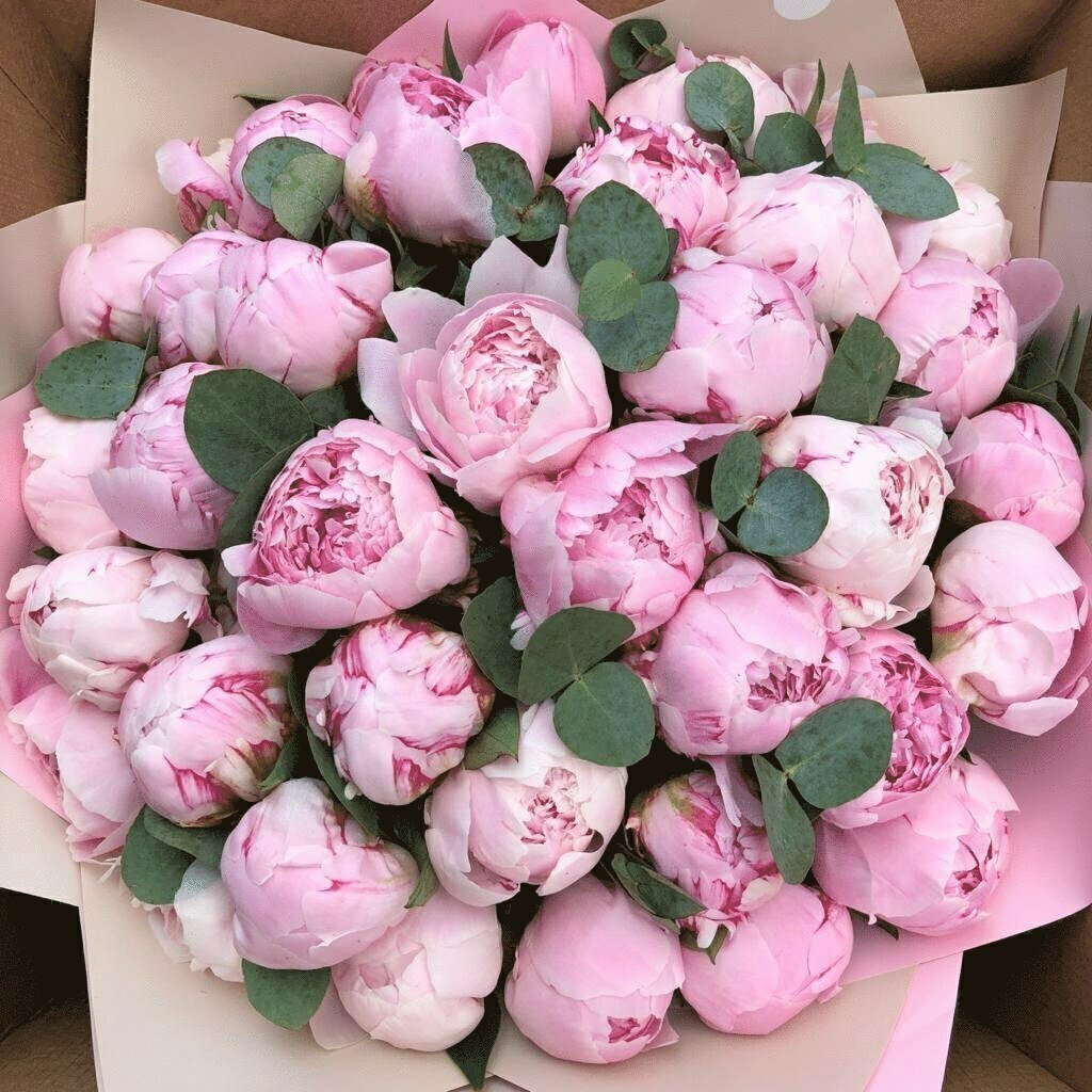 Букет Сара Бернар с эвкалиптом