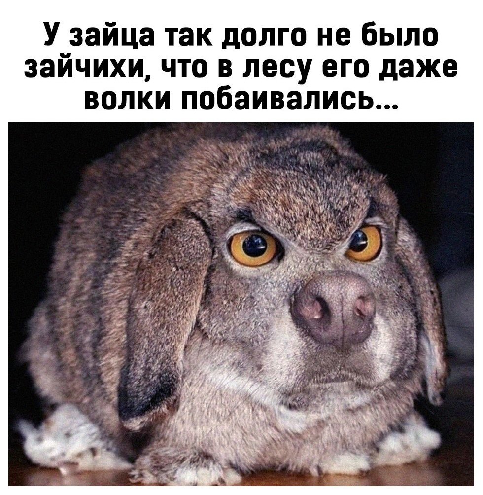 Этого зайца боялись даже волки