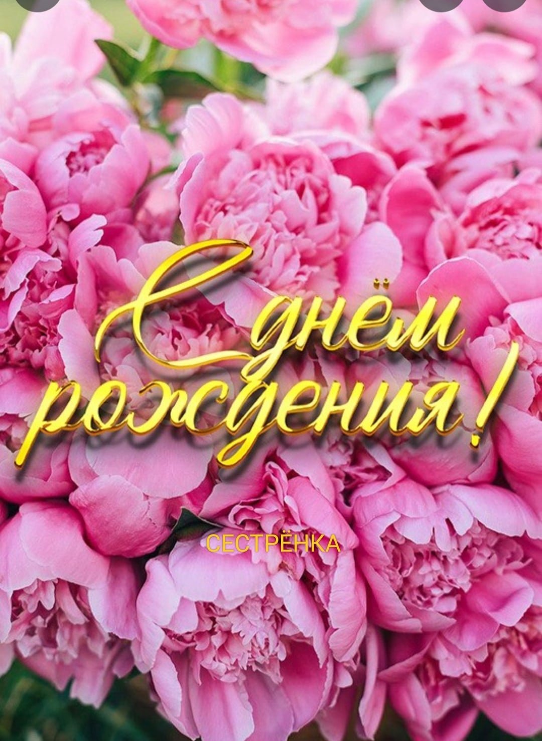 Открытки с днём рождения женщине с пионами