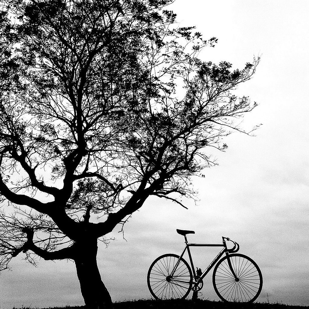 Стилизованный велосипед