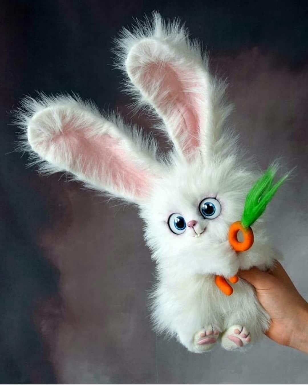 Солнечный заяц