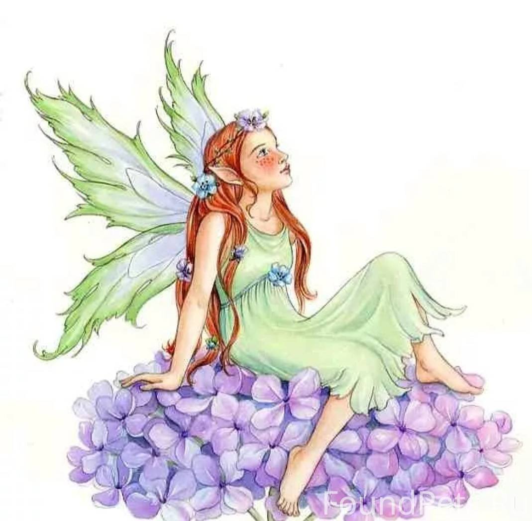 Сказочные мгновения