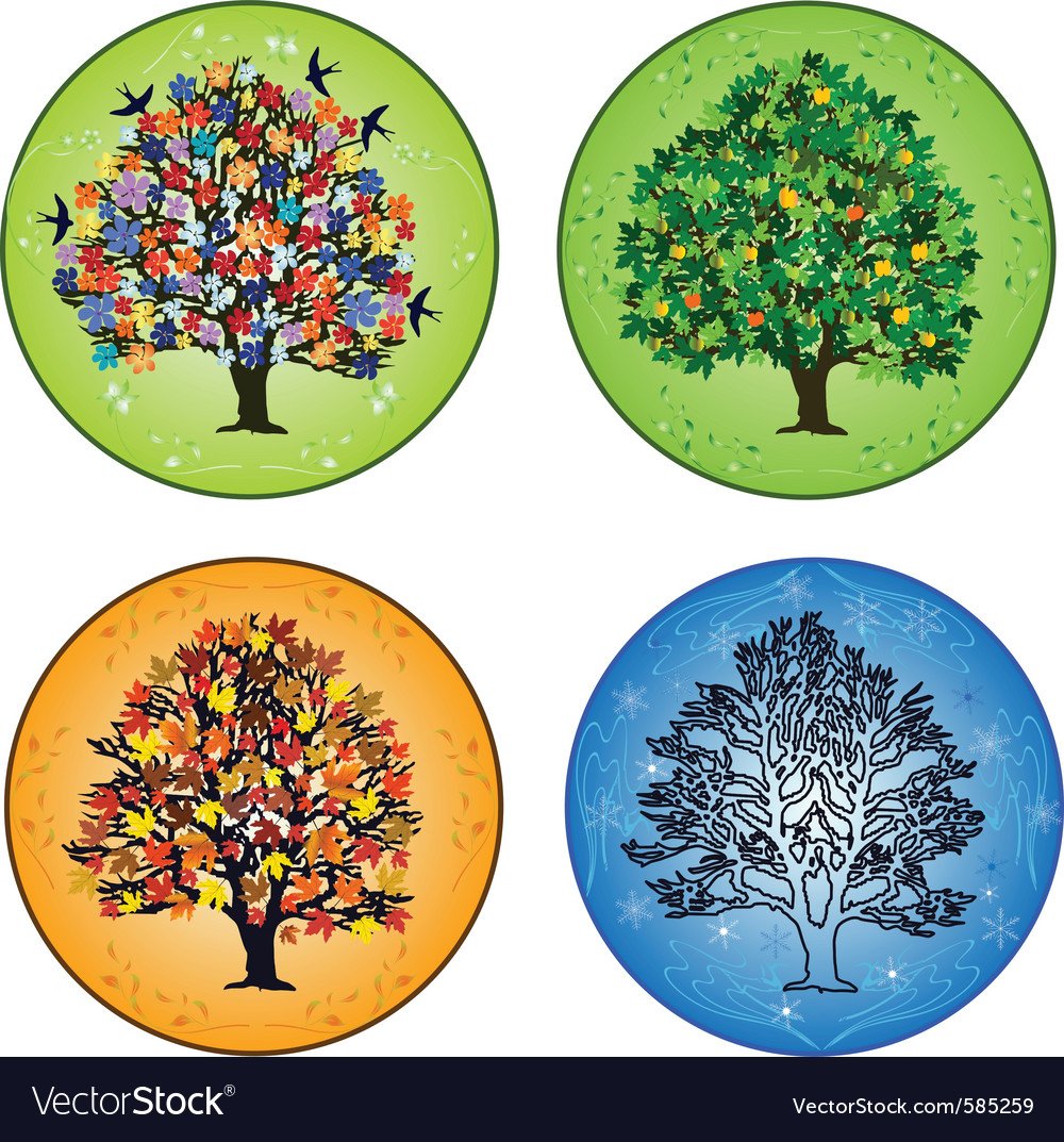 Летнее дерево 4 сезона
