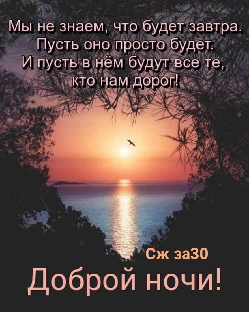 Тихой мирной ночи