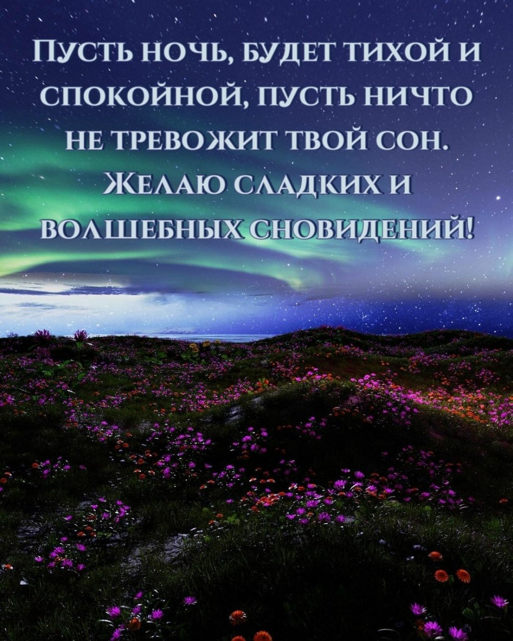 Спокойной тихой ночи