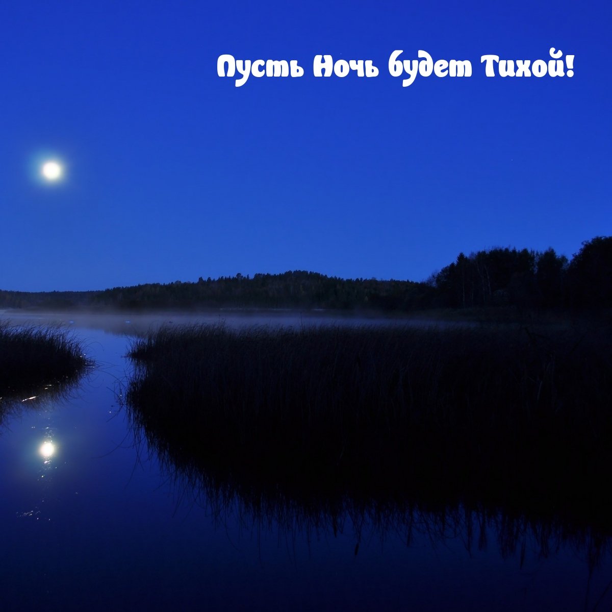 Ночь коротка