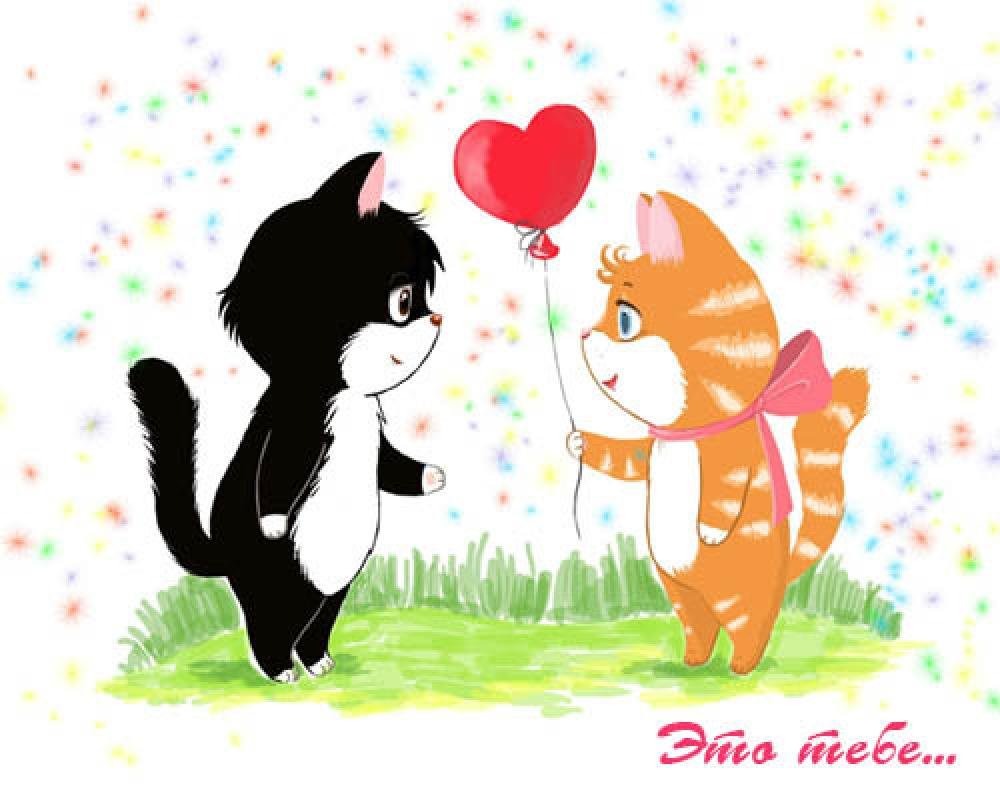 С днём рождения любимый кот