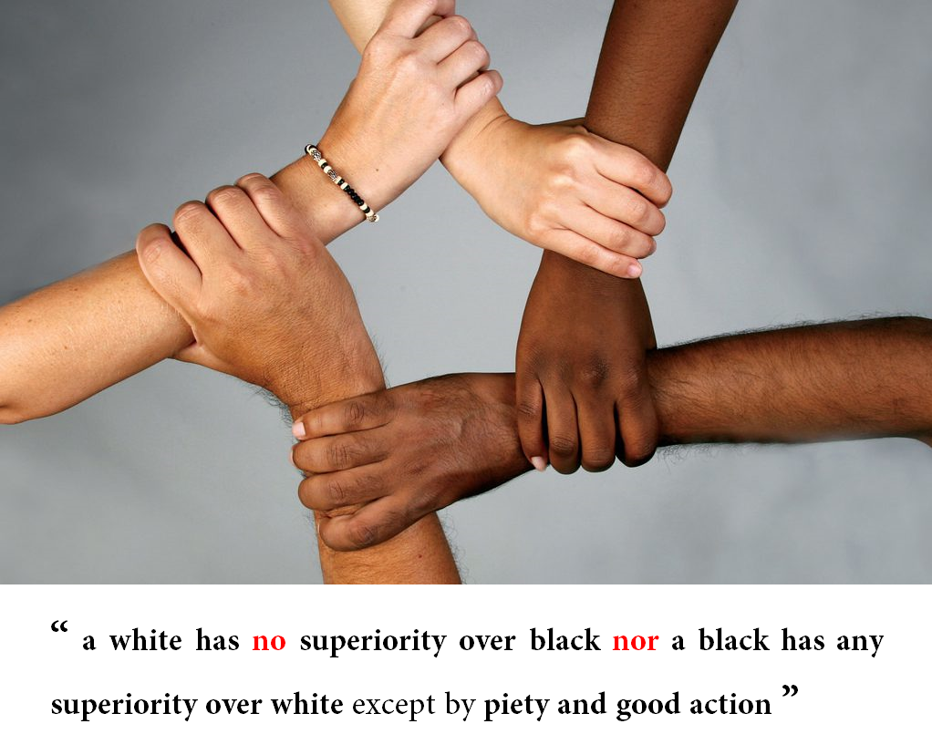 Афоризмы прикольные