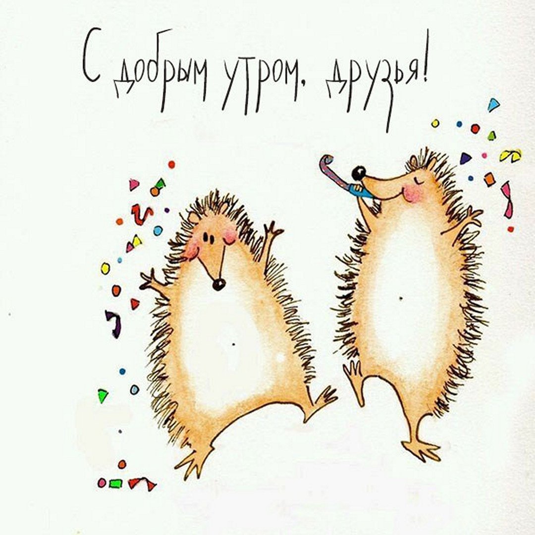 Открытки с юмором