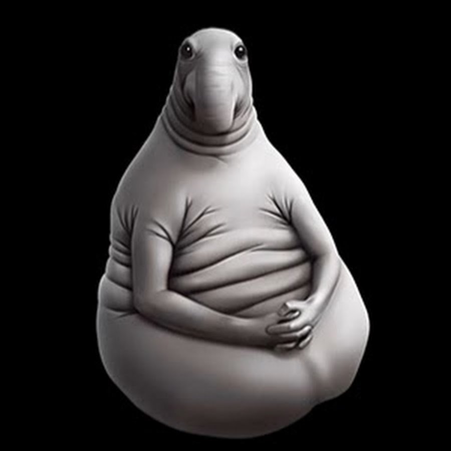 Ждун кондуктор