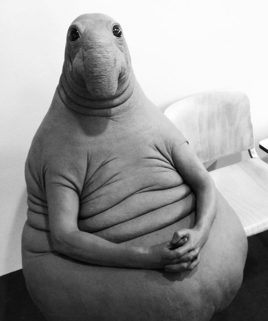 Стикеры ВК Ждун