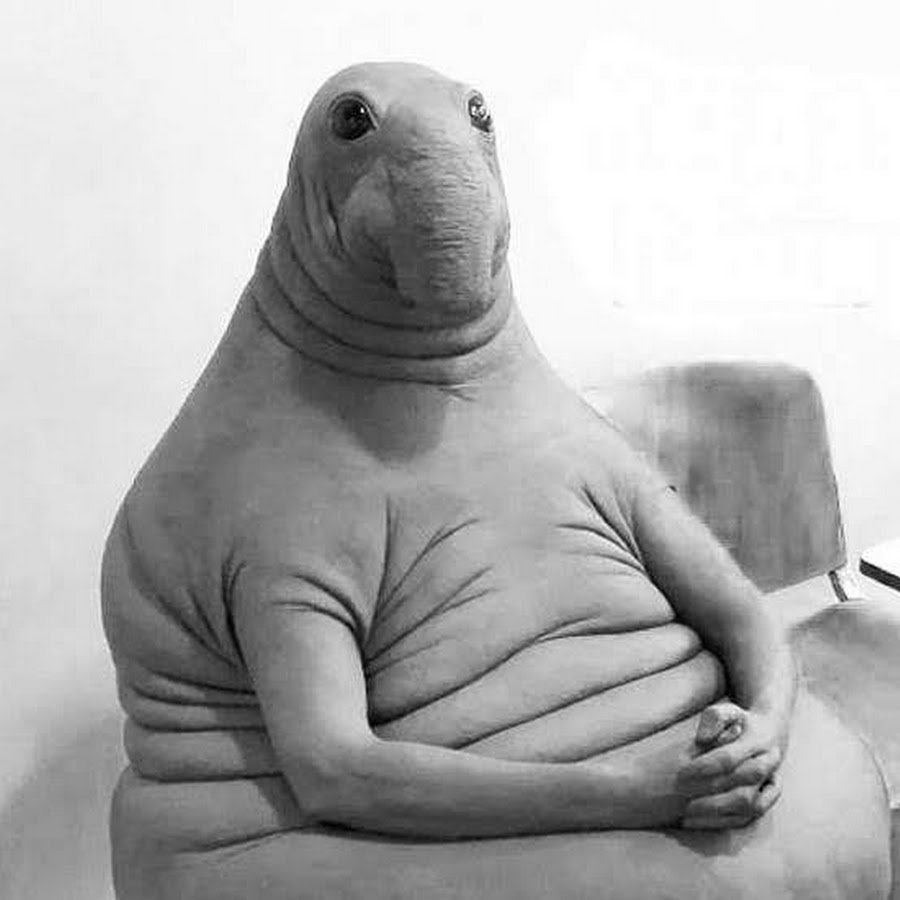 Ждун наклейка