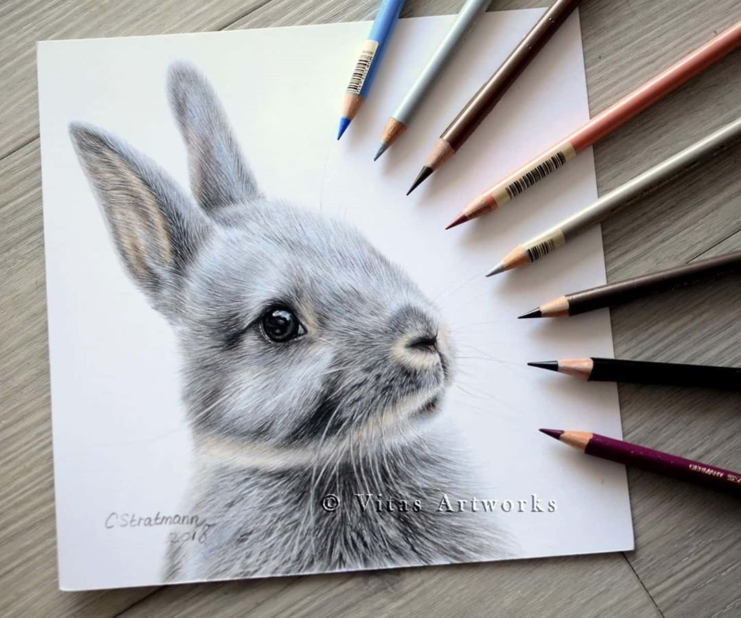 Иллюстрации Кэти Липскомб