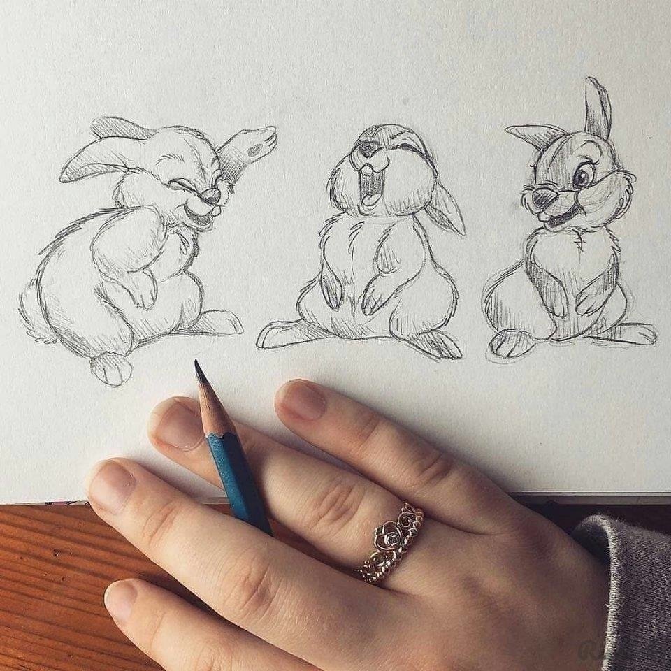 Глаз животного карандашом