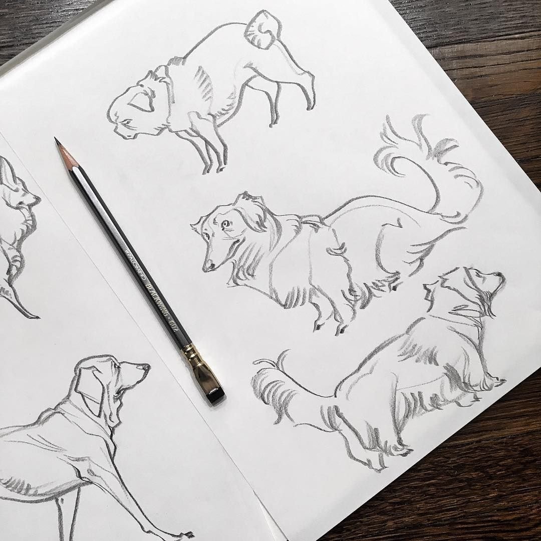Лиса цветными карандашами