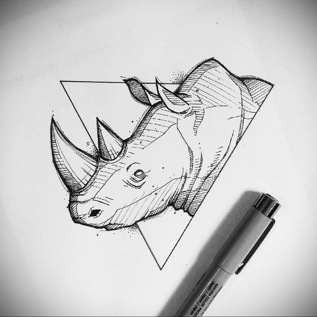 Рисунки карандашом животные